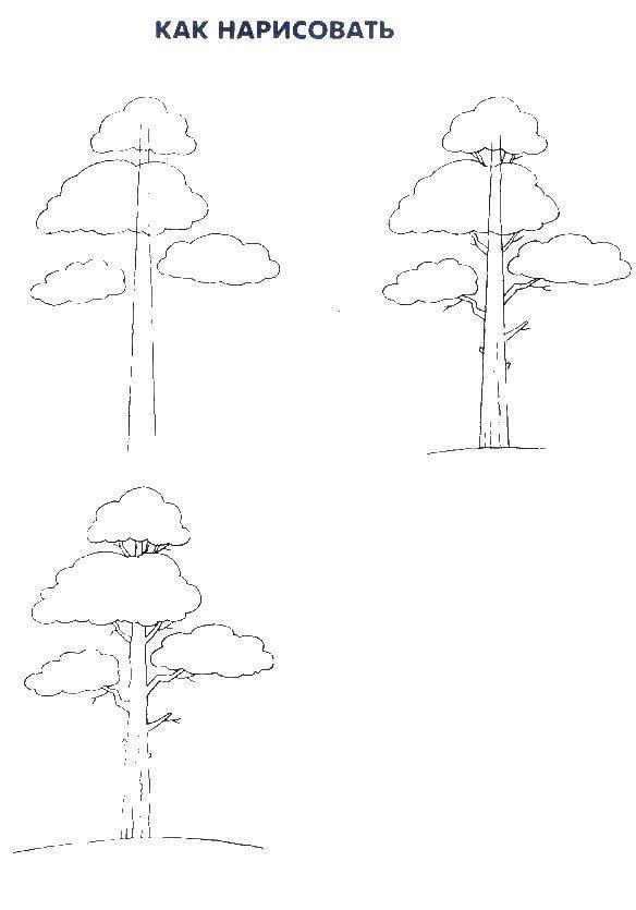 Как нарисовать лес поэтапно карандашом и красками: легкие уроки пейзажа для начинающих (мастер-класс)
