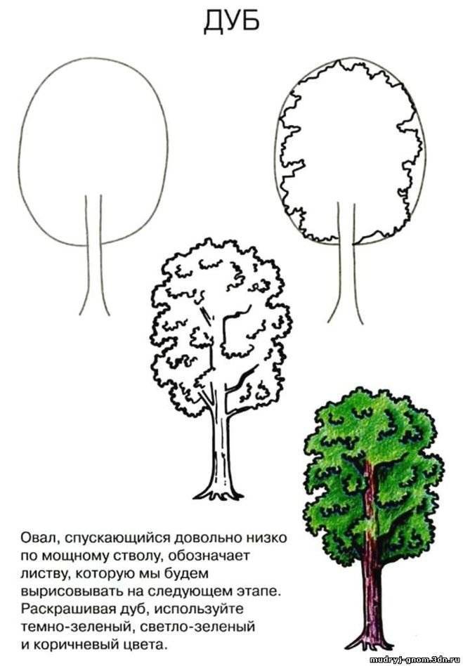 Рисунок контура дерева: поэтапное описание, фото, советы - handskill.ru