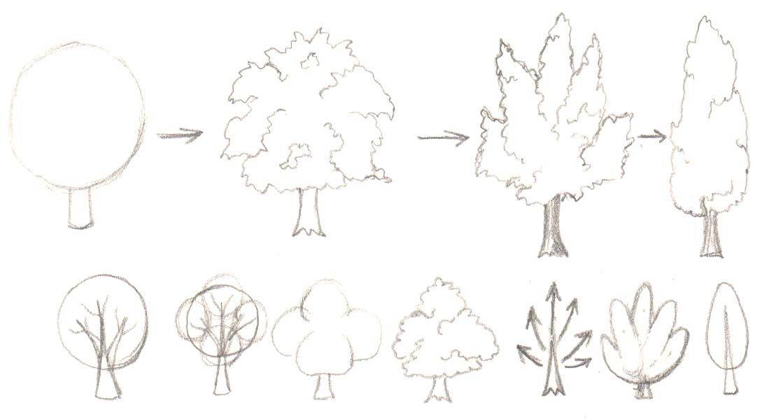 Как нарисовать красивое дерево, карандашом , красками , для начинающих, в детском саду. как нарисовать красивое дерево поэтапно