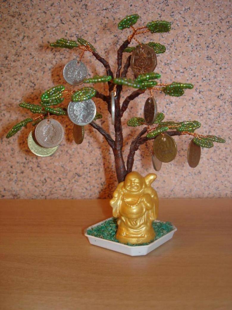 Как правильно посадить денежное дерево, чтоб дома водились деньги