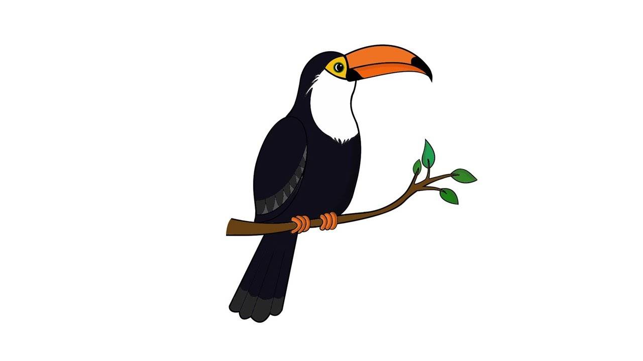 Как нарисовать птицу поэтапно карандашом - легкие мастер-классы для начинающих. как нарисовать птицу поэтапно