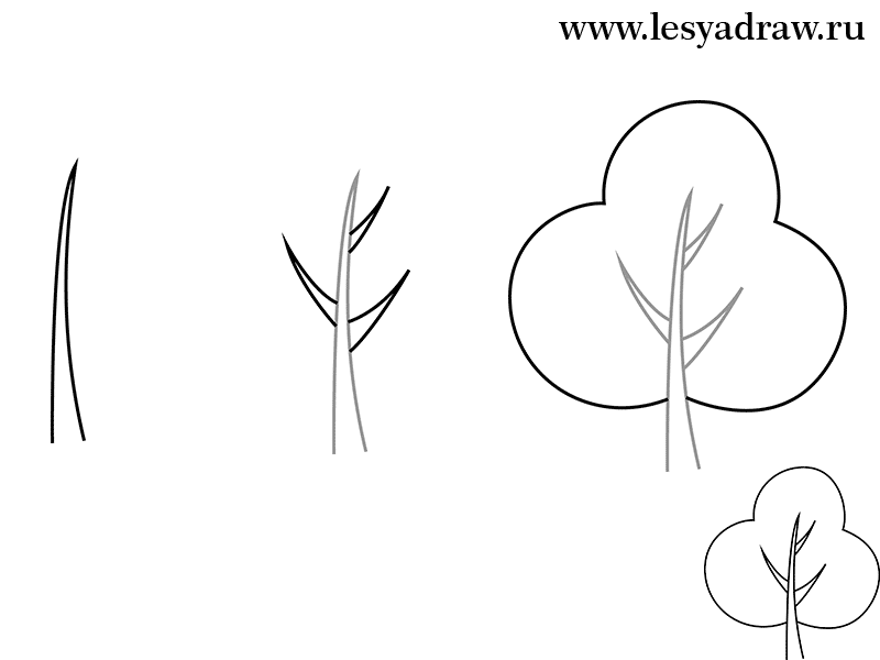 Разветвляемся: рисуем дерево за 8 простых шагов. 