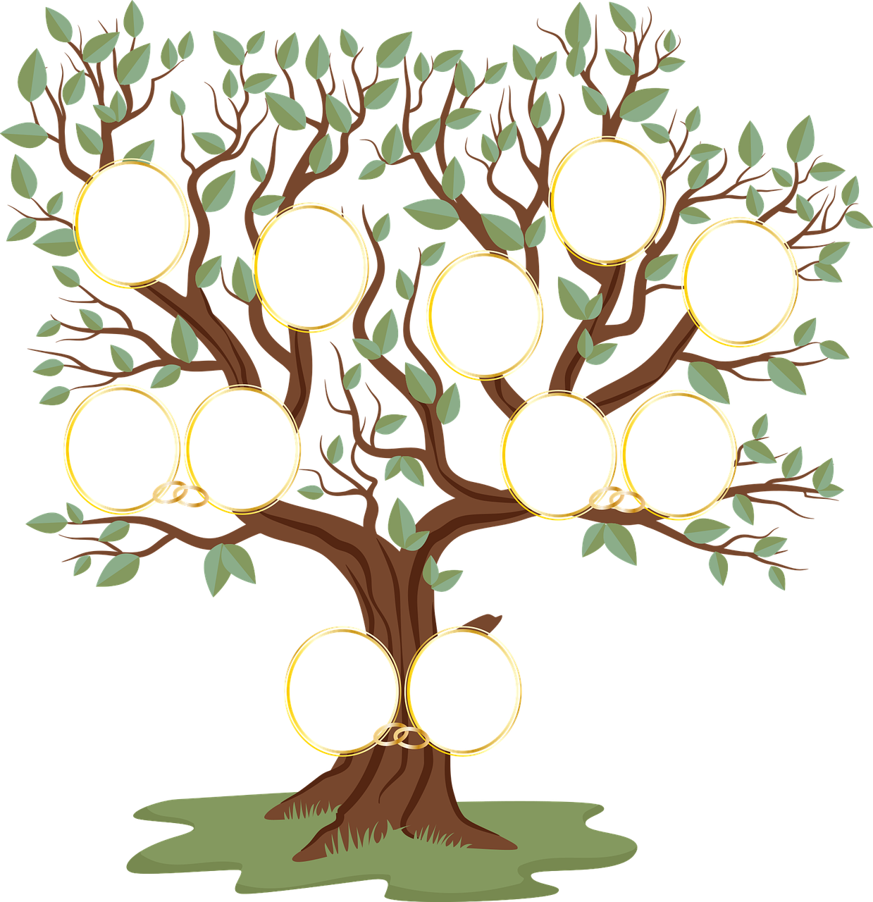 Как нарисовать семейное дерево пошагово: шаблоны, инструкции, оригинальные задумки, родословное дерево своими руками