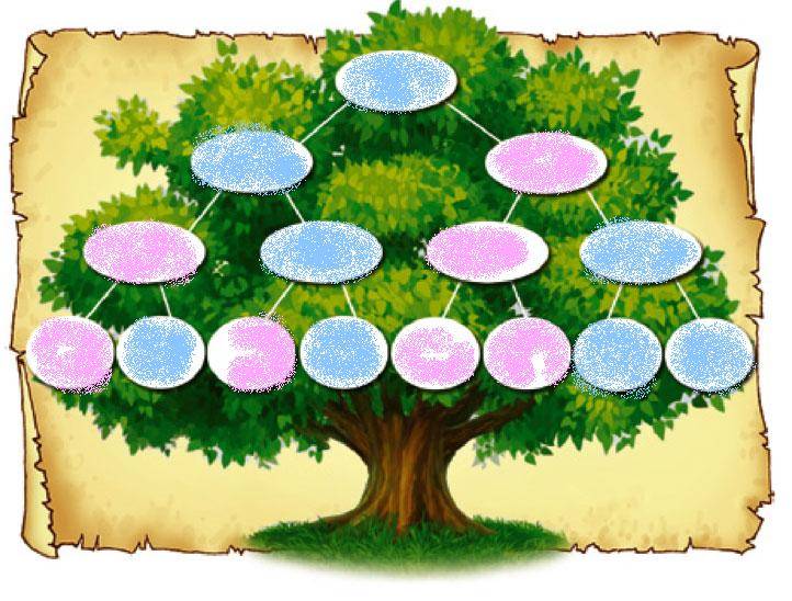 Генеалогическое дерево своими руками: инструкция по созданию генеалогического дерева + идеи оформления своими руками