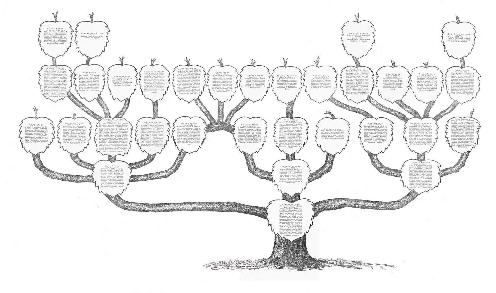 Как нарисовать родовое дерево в школу