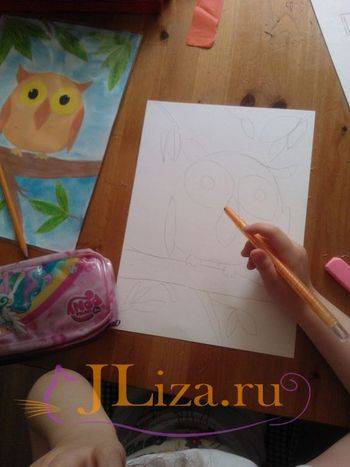Сова. Рисунки карандашом для детей для срисовки с книгой, крыльями на ветке, дереве, камне