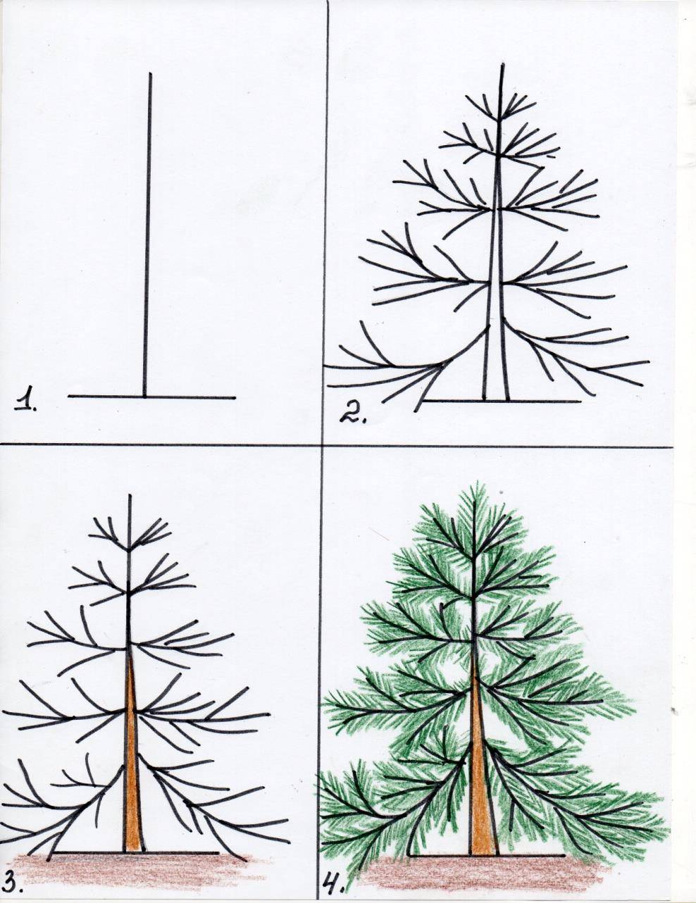 Как нарисовать дерево: как легко и красиво создать рисунок дерева, кустов и растений
