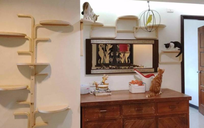 Как сделать домик для кошки своими руками — простые чертежи, пошаговые мастер-классы с описанием процесса работы, фото идеи