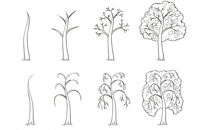 Как нарисовать дерево карандашом: легкие иллюстрации и поэтапные мастер-классы для детей и начинающих