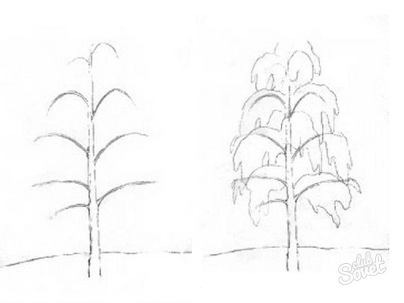 Пошаговое изображение деревьев карандашами
