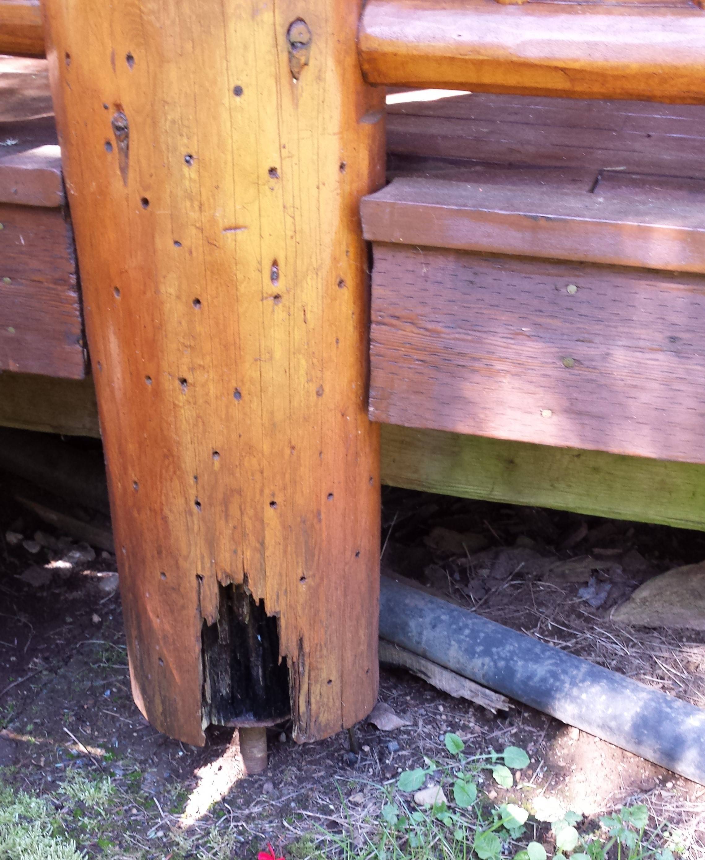 Можно ли деревянные столбы заливать бетоном?