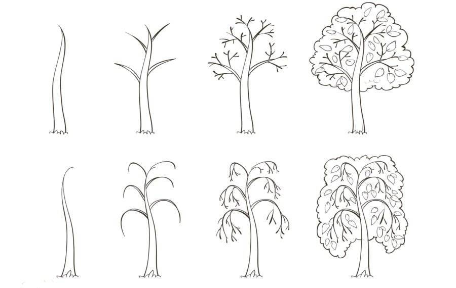 Как нарисовать дерево — лучшие способы рисования дерева своими руками. Простые схемы рисунков для начинающих с фото-примерами работ