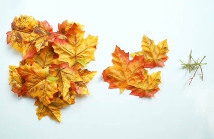 Аппликация из листьев Осенние картины: своими руками
