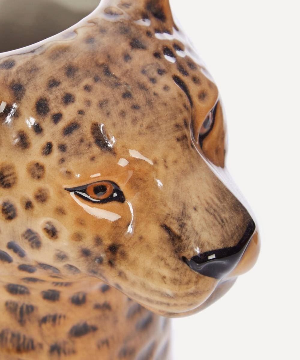 Леопард - описание и фото, где обитает, чем питается, видео охоты