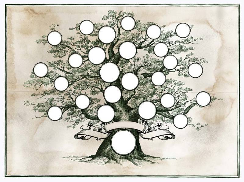 Как нарисовать семью из 3 или 4 человек, герб и дерево семьи ребенку: поэтапно карандашом для начинающих