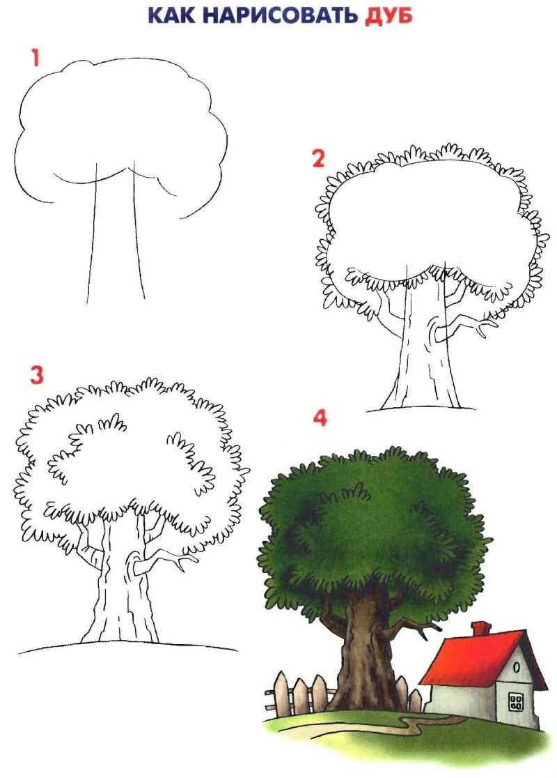 Как нарисовать дерево карандашом: легкие иллюстрации и поэтапные мастер-классы для детей и начинающих