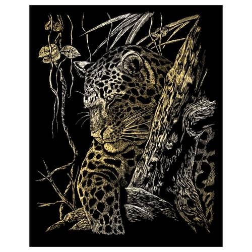 Леопард – виды и фото
