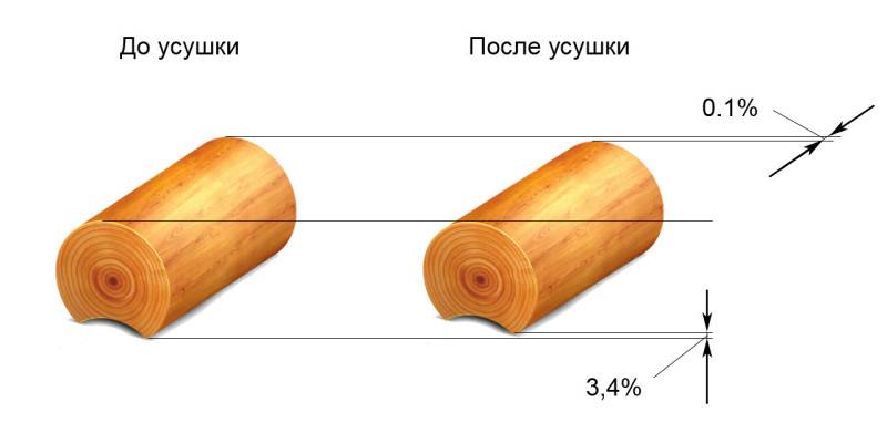 Влияние различных жидкостей на древесину