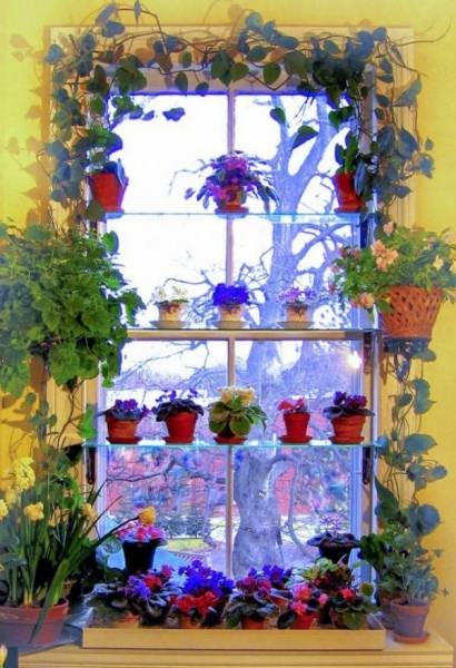 Подставка для цветов своими руками: напольные, настольные и подвесные конструкции из природных и подручных материалов