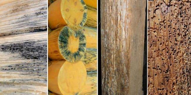 12 способов декорирования древесины