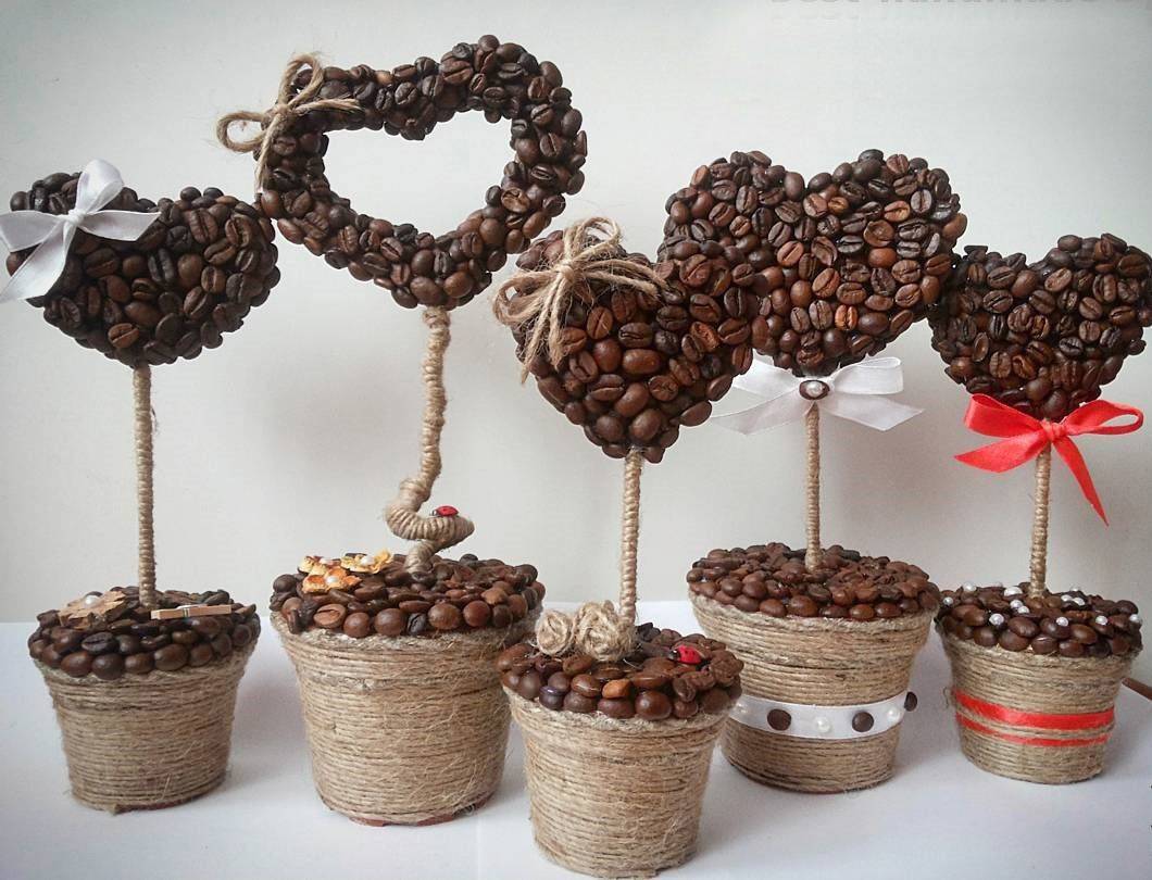 Кофе или как вырастить у себя кофейное дерево?