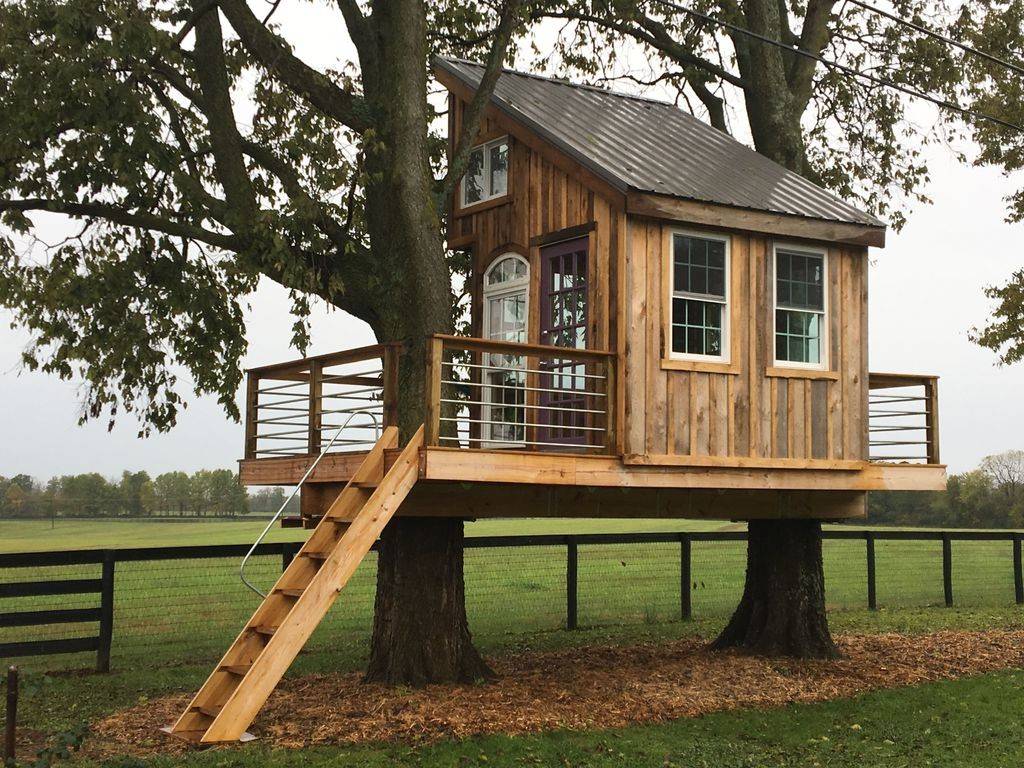 Дом на дереве: выбор дерева, разновидности конструкций и правила их строительства
