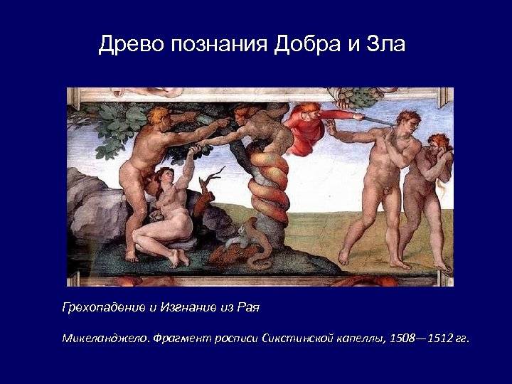 Древо познания добра и зла: рисунок, заповедь, не вкушай плодов дерева жизни ? православный клуб