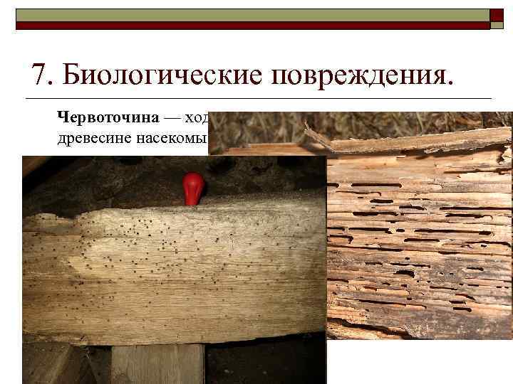 Стабилизация древесины в домашних условиях: состав, жидкость, описание