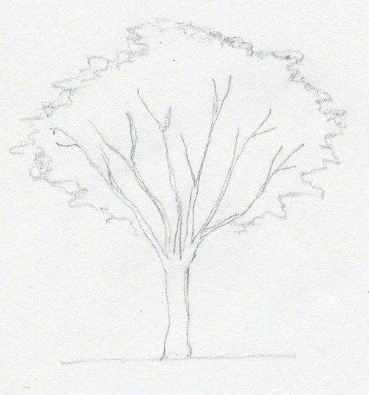 Картина «Денежное дерево»