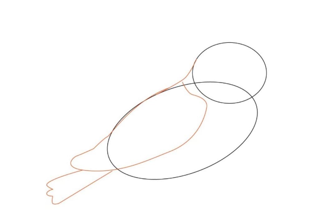 Как нарисовать птицу карандашом: поэтапное описание рисования птиц для детей и начинающих