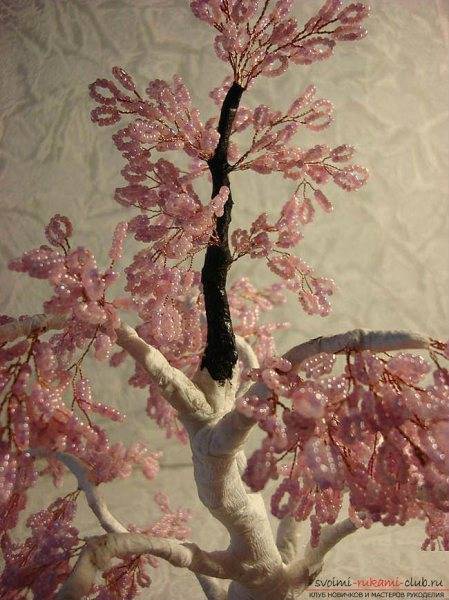 Сакура из бисера фото: пошаговое плетение ветки, бисероплетение, видео, схемы