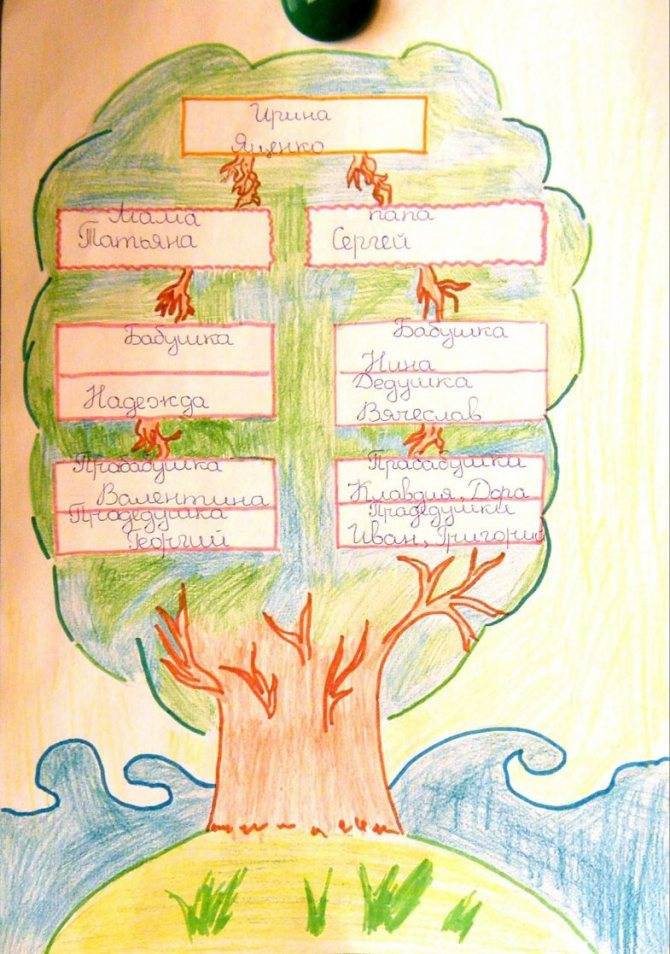 Как нарисовать семейное дерево быстро и легко: особенности составления и примеры оформления