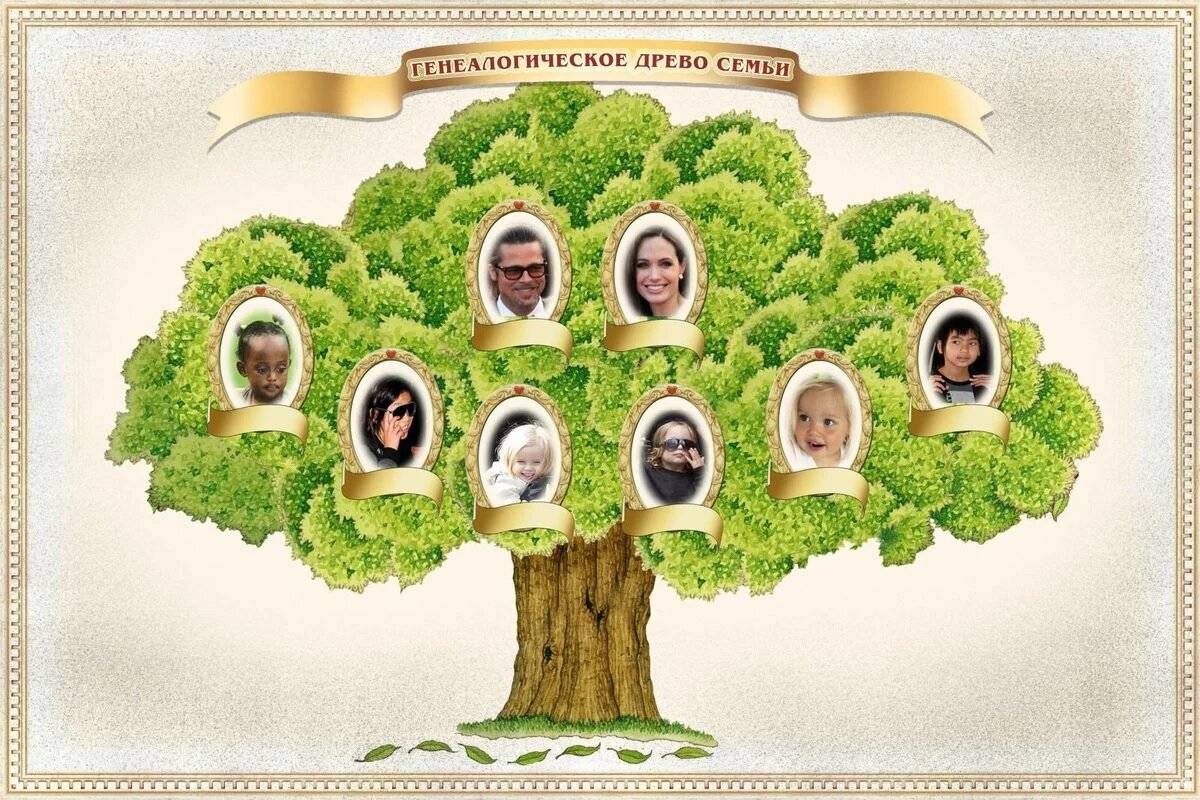 Как сделать родословное дерево семьи своими руками