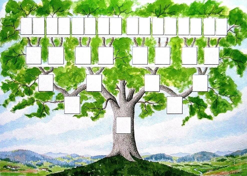 Генеалогическое дерево семьи - 120 фото лучших идей. пошаговая инструкция правильно составления дерева семьи