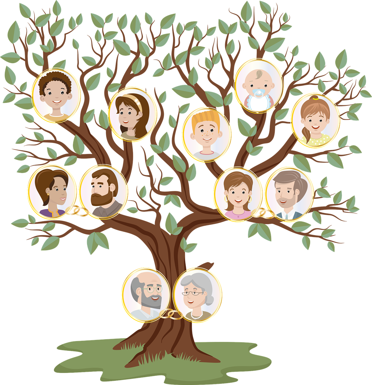 Как нарисовать генеалогическое дерево семьи карандашом своими руками? как составить родословное дерево своей семьи: образец