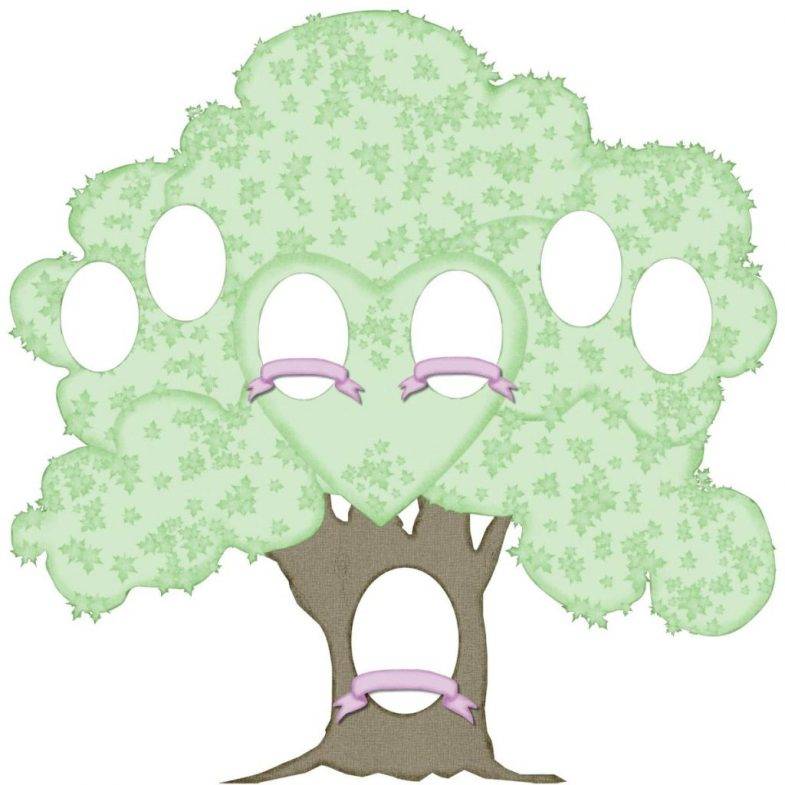 Как нарисовать семейное дерево: шаблоны и программы