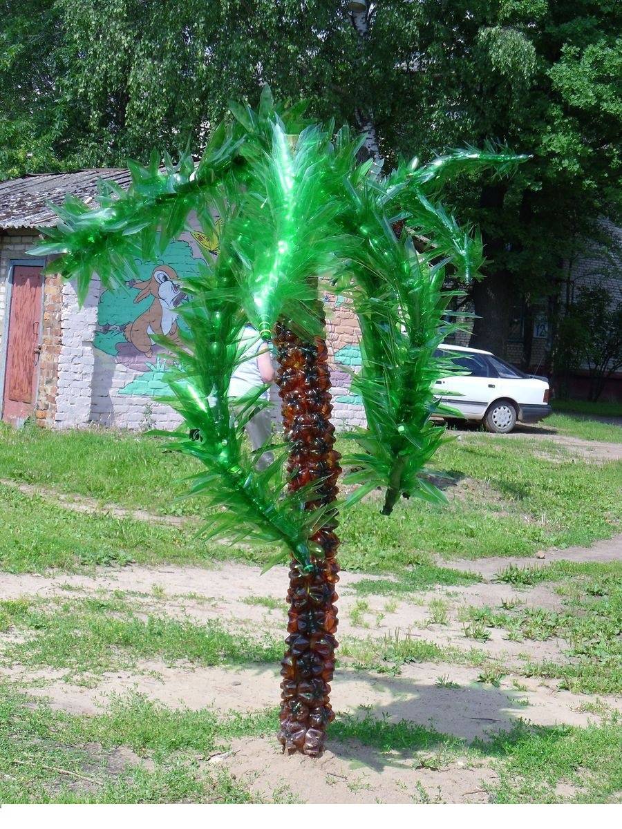 Листья пальмы из пластиковых бутылок. пальма из пластиковых бутылок – пошаговая инструкция как сделать искусственное растение (85 фото)