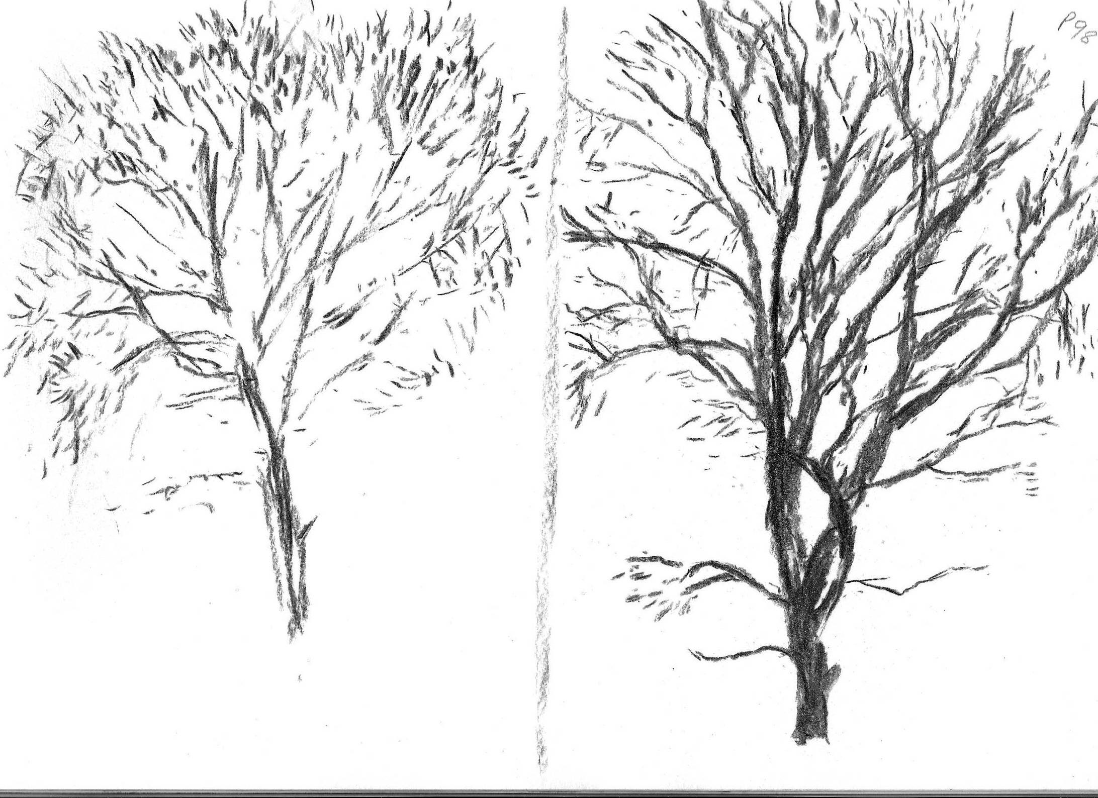 Нарисовать дерево на стене своими руками: выбор изображения, порядок нанесения, фото