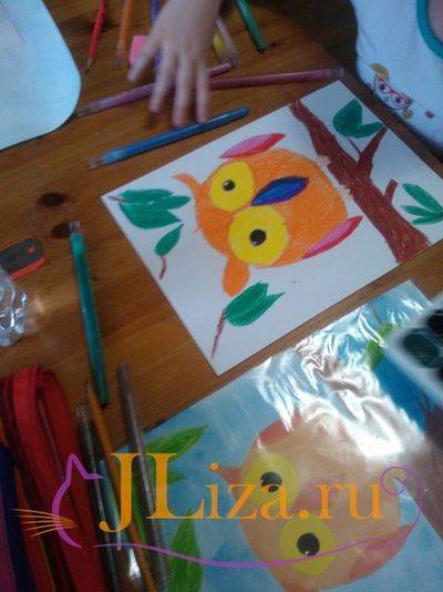 Сова. Рисунки карандашом для детей для срисовки с книгой, крыльями на ветке, дереве, камне