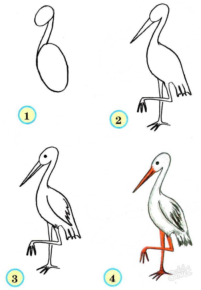 Как нарисовать птицу поэтапно — карандашом или фломастерами