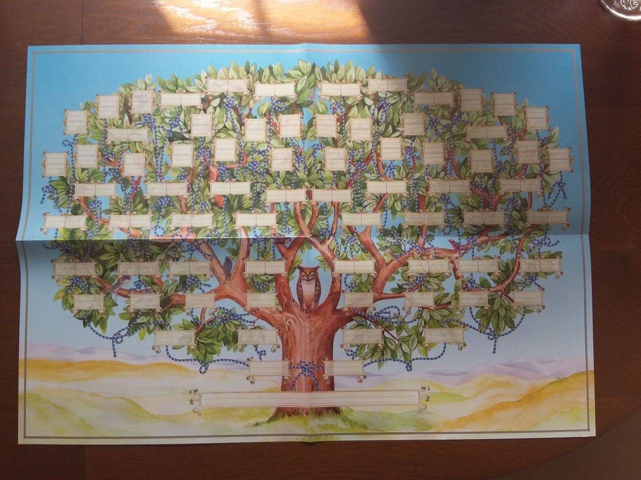 Семейное дерево своими руками как создать или нарисовать семейное дерево на компьютере онлайн бесплатно и распечатать